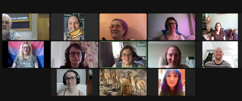 Screenshot of 13 people on a Zoom call